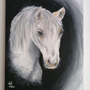 White horse acrylic – animalpainting