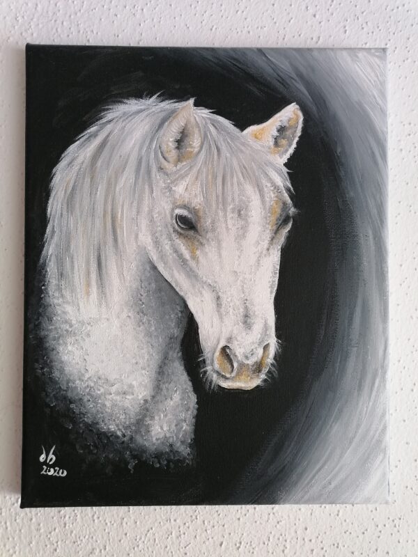 White horse acrylic – animalpainting